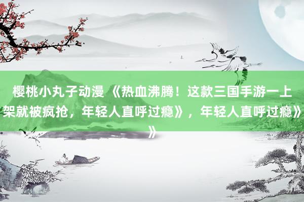樱桃小丸子动漫 《热血沸腾！这款三国手游一上架就被疯抢，年轻人直呼过瘾》，年轻人直呼过瘾》