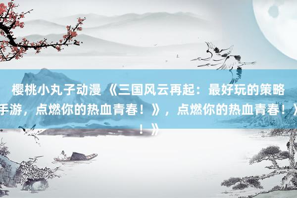 樱桃小丸子动漫 《三国风云再起：最好玩的策略手游，点燃你的热血青春！》，点燃你的热血青春！》