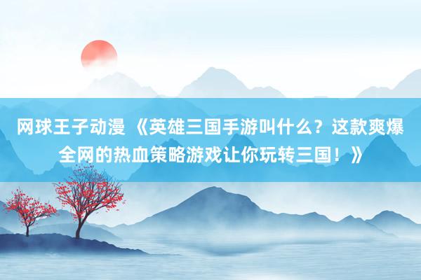 网球王子动漫 《英雄三国手游叫什么？这款爽爆全网的热血策略游戏让你玩转三国！》