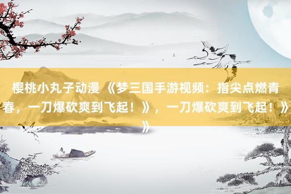 樱桃小丸子动漫 《梦三国手游视频：指尖点燃青春，一刀爆砍爽到飞起！》，一刀爆砍爽到飞起！》