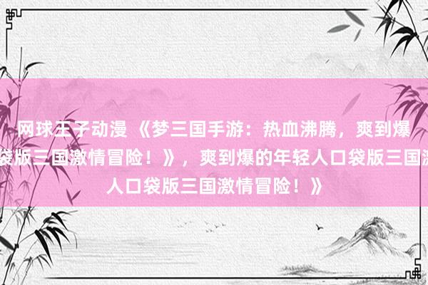 网球王子动漫 《梦三国手游：热血沸腾，爽到爆的年轻人口袋版三国激情冒险！》，爽到爆的年轻人口袋版三国激情冒险！》