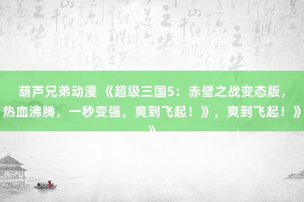 葫芦兄弟动漫 《超级三国5：赤壁之战变态版，热血沸腾，一秒变强，爽到飞起！》，爽到飞起！》