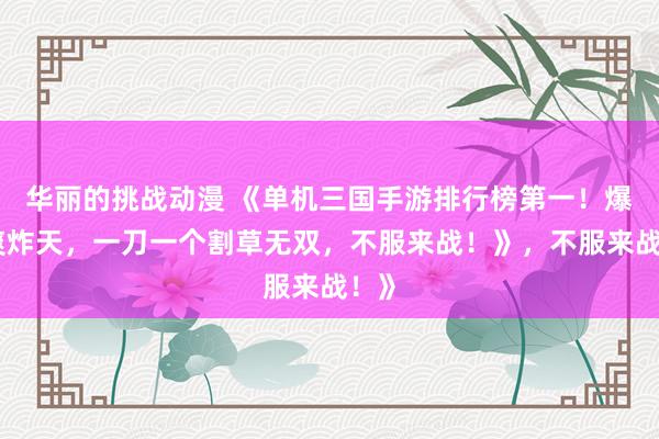 华丽的挑战动漫 《单机三国手游排行榜第一！爆肝爽炸天，一刀一个割草无双，不服来战！》，不服来战！》