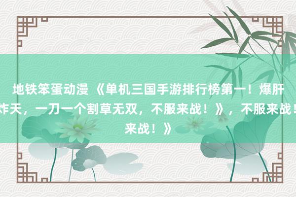 地铁笨蛋动漫 《单机三国手游排行榜第一！爆肝爽炸天，一刀一个割草无双，不服来战！》，不服来战！》