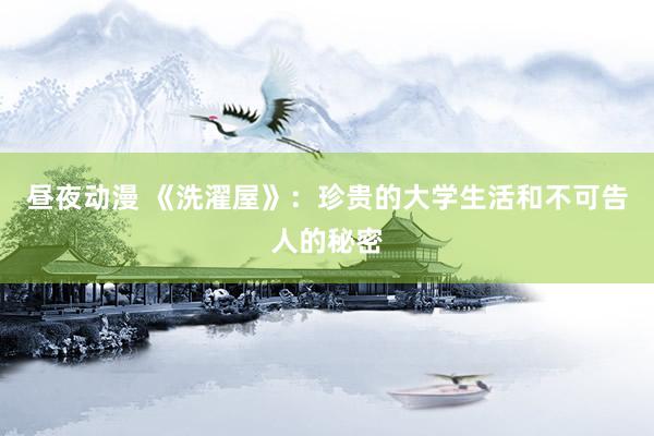 昼夜动漫 《洗濯屋》：珍贵的大学生活和不可告人的秘密